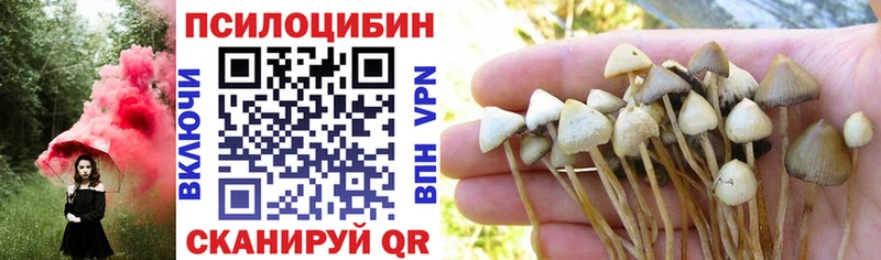 сайты даркнета состав Карабаново Галлюциногенные грибы мицелий купить наркотики сайты